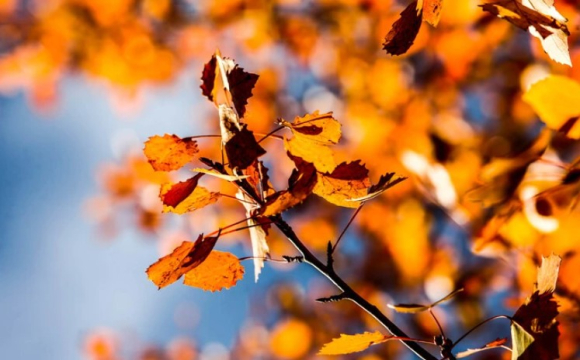 Розкрийте таємниці майбутнього: гороскоп на 26 жовтня для всіх знаків Зодіаку