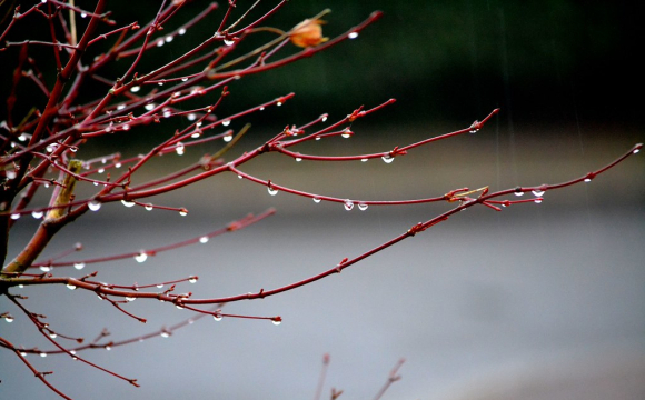 Антициклон накриє Україну: якою буде погода на вихідних