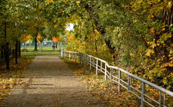 Синоптики розповіли, якою буде погода у вересні