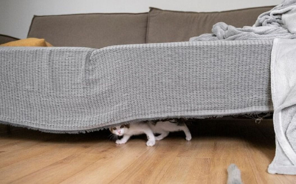 Які речі категорично заборонено зберігати під ліжком