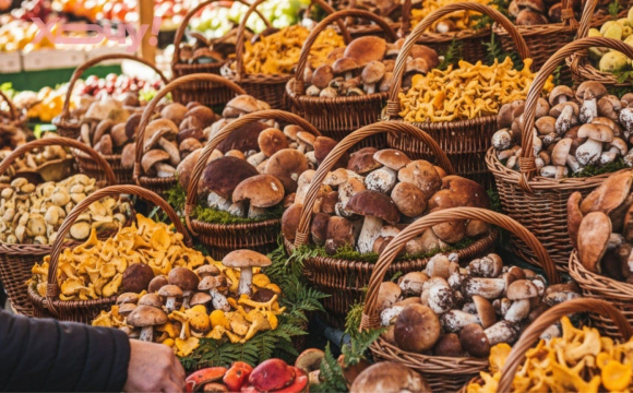 У Луцьку на ринку масово продають гриби: скільки коштує кілограм