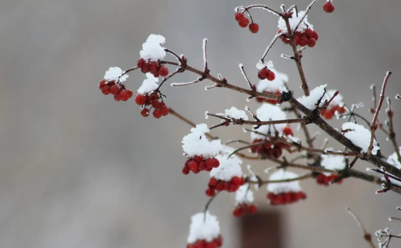 Скільки ще українцям терпіти люті морози