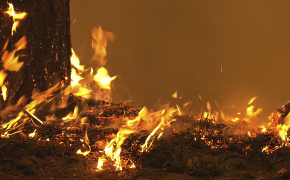 На Волині спалахнули масові пожежі На Волині спалахнули масові пожежі