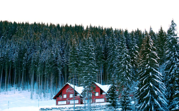 Інвестиції в нерухомість Карпат 2025: огляд ринку