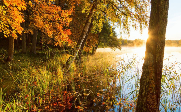 День пристрастей і сварок: гороскоп на 7 вересня для всіх знаків Зодіаку