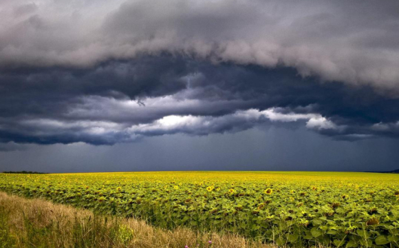 В Україні оголошено штормове попередження на 23 червня