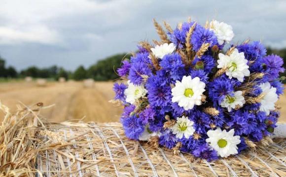 Будьте відкриті до нового: гороскоп для всіх знаків Зодіаку на 28 серпня