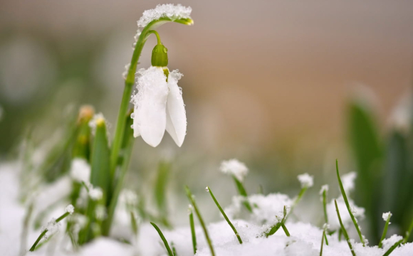 В Україні вдарить 17-градусний мороз: відома дата
