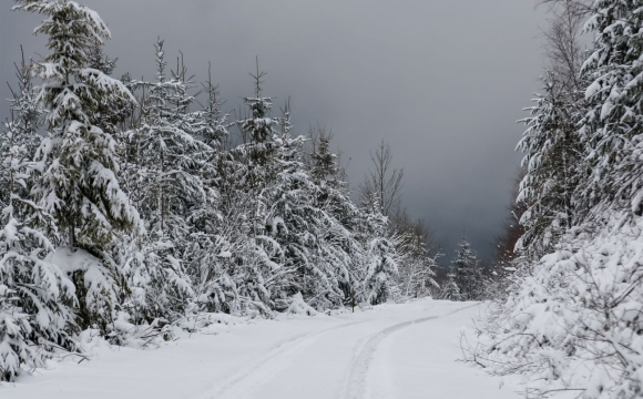 У Карпатах розпочався сильний шторм