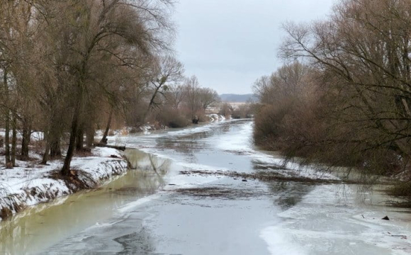 «Такої води не бачили 5 років»: на Волині розпочалася повінь