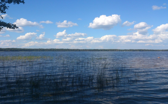 Якість води на Волині: де можна безпечно купатися