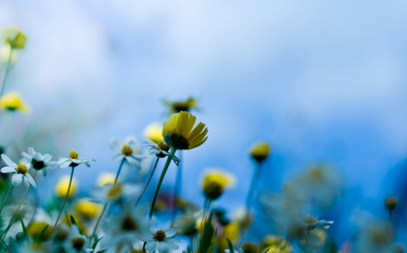 Україну знову накриє аномальна спека: де температура сягне піку