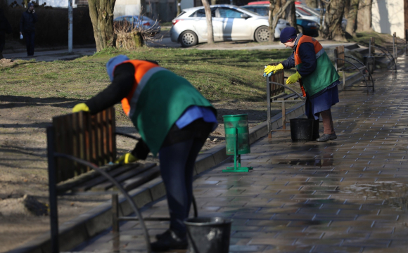 Українцям заборонили білити дерева й бордюри: у чому причина