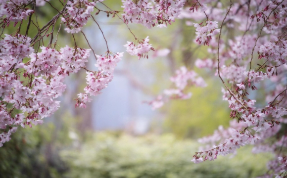 Яке свято відзначають українці 4 квітня: народні прикмети і традиції