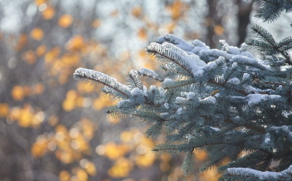 Астрологи назвали найвдаліші дні січня для всіх знаків Зодіаку