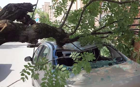 Біля Луцька дерево впало на авто в якому був чоловік