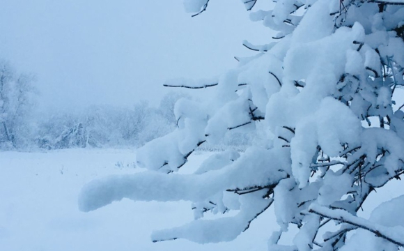 Названо місто на заході України, у якому випаде 40 сантиметрів снігу