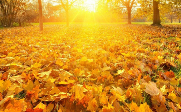 Яке свято відзначають українці 16 листопада: народні прикмети і традиції