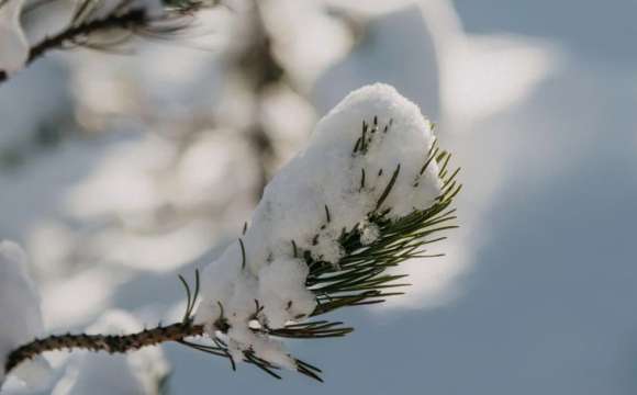 Цього дня звертаються з молитвами: яке церковне свято 3 січня