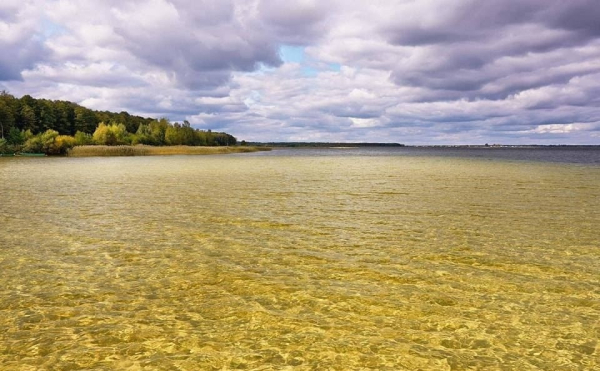 На Світязі рекордно впала вода: у чому причина