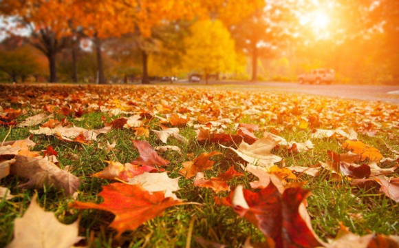 Україну знову накриє 28-градусна спека: названо дати