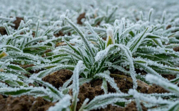 Температура в Україні впаде до -5 градусів: назвали дату