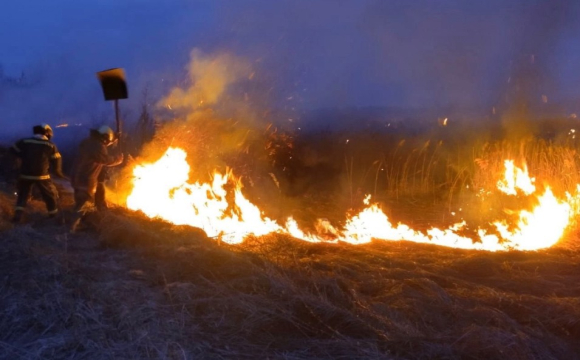 На Волині вигоріло 8 гектарів: рятувальники б’ють на сполох