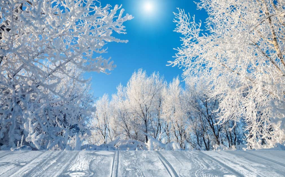 Синоптик розповів, якою буде зима в Україні