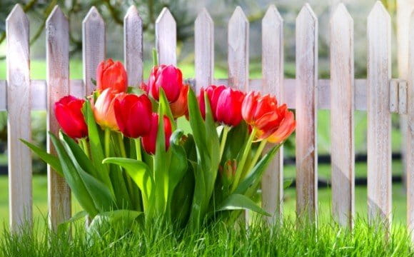 Не ігноруйте знаки: таро-гороскоп на 19 березня для всіх знаків Зодіаку