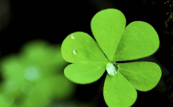 Кому із знаків Зодіаку посміхнеться удача сьогодні