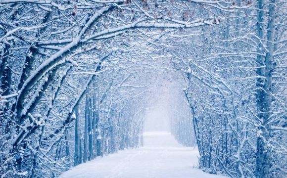 Синоптик розповів, якою буде погода в грудні