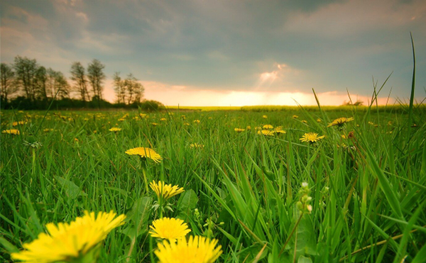 Що чекає на українців 1 та 8 травня