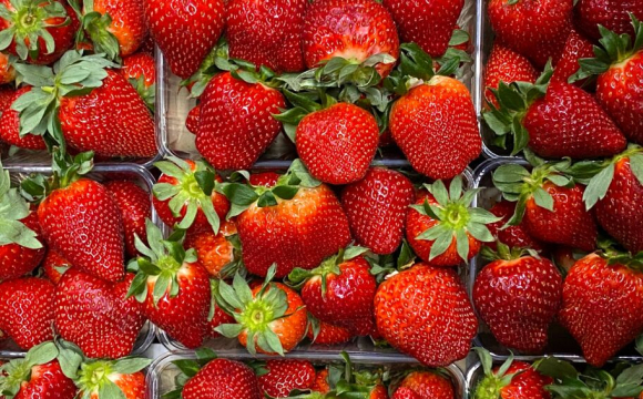 Ціни на популярну ягоду б’ють рекорди