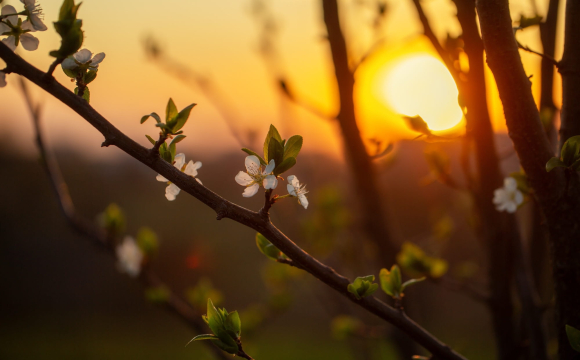 В Україні потеплішає на вихідних: яким областям пощастить