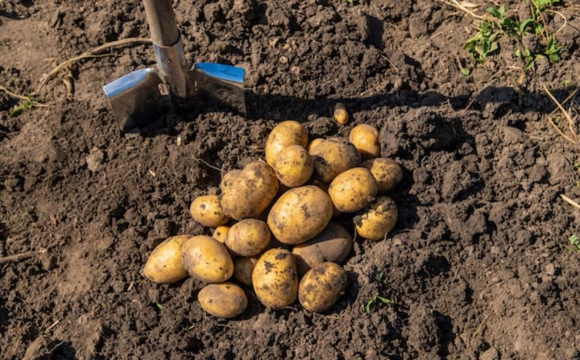 Ці 5 справ категорично заборонено робити у п'ятницю 