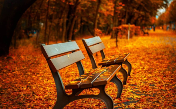 Яке свято відзначають українці 4 жовтня: народні прикмети і традиції