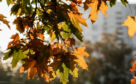 В Україну повернеться «бабине літо»: назвали дати