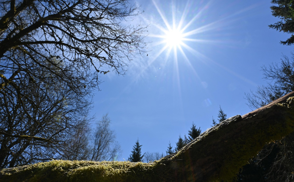 На заході України буде плюсова температура: названі дати