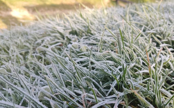 Названа дата сильних заморозків в Україні