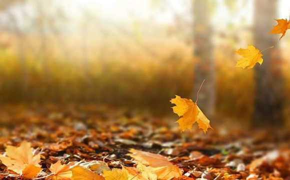 Коли в Україну прийде потепління