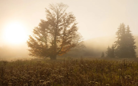 Яке свято відзначають українці 30 листопада: народні прикмети і традиції