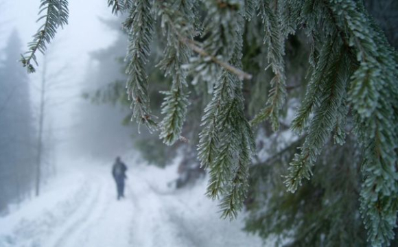 До України йде арктичний холод: які області накриє
