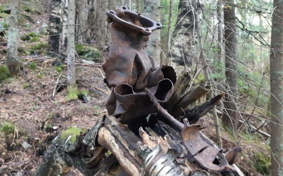 У Карпатах розбився німецький літак: що відомо про трагедію