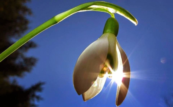 В Україні пригріє до +15 градусів: названі точні дати