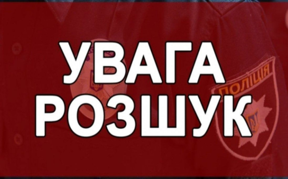 Зникла з собакою: у Львові розшукують 13-річну Анну Данило, яка не повернулася додому