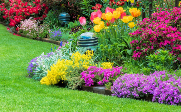 Ці рослини категорично заборонено садити у дворі: вони є небезпечними