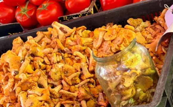 На луцьких ринках почали продавати перші гриби: скільки коштує літр