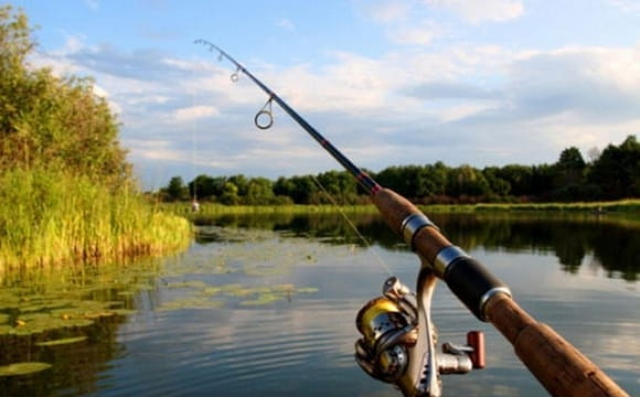 На заході України чоловік впіймав 50-кілограмову рибу
