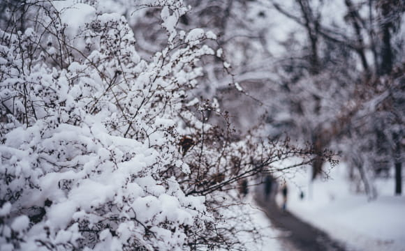 Україну накриють циклони: якою буде погода на вихідних