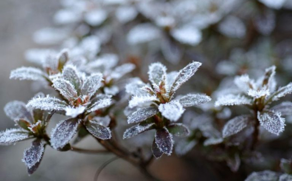 Де на вихідні в Україні випаде сніг